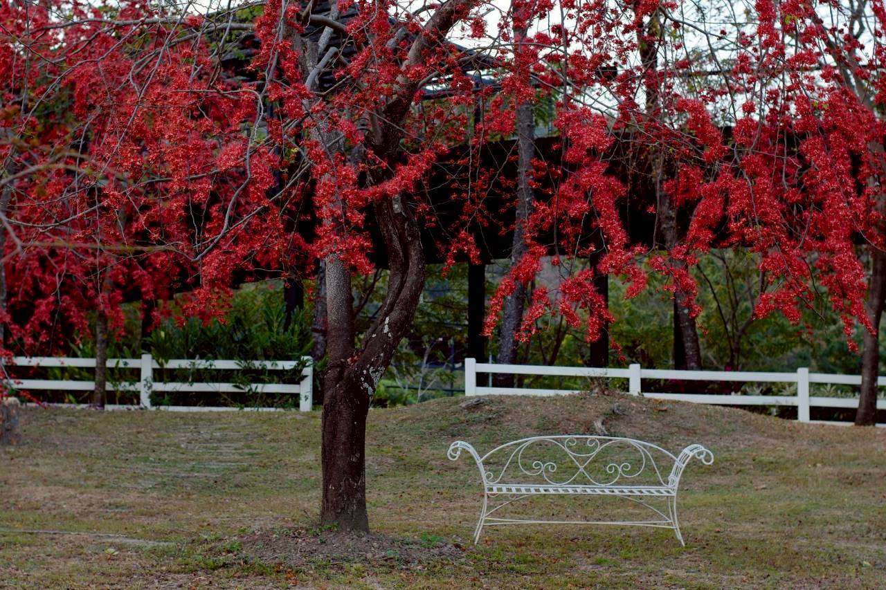 LINE ALBUM 522026 260205 14