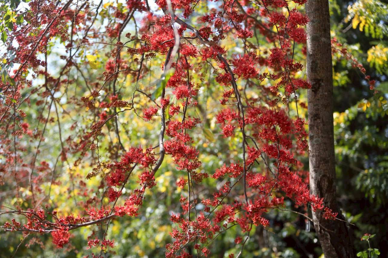 LINE ALBUM 522026 260205 16