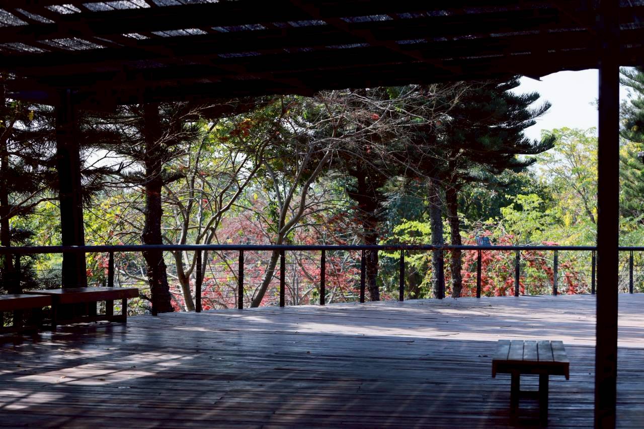 LINE ALBUM 522026 260205 6