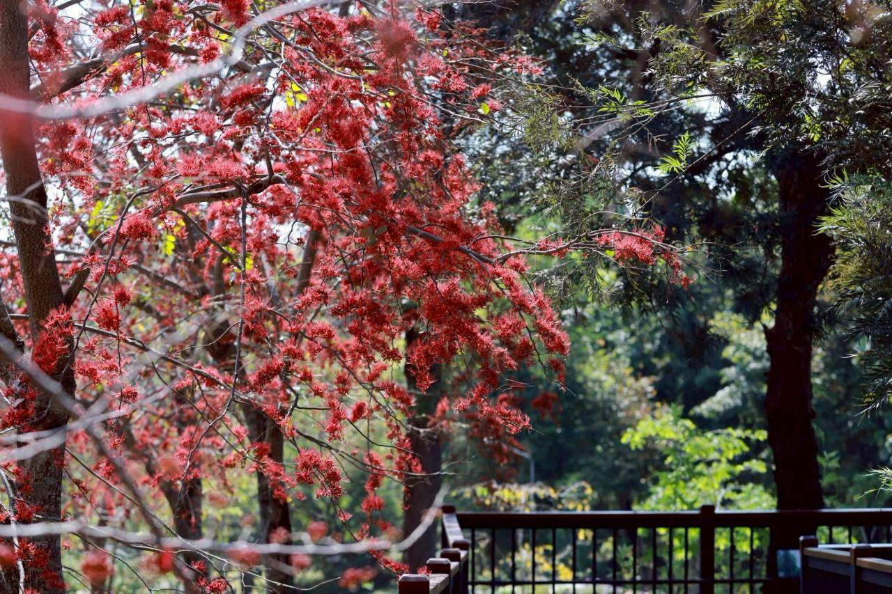 LINE ALBUM 522026 260205 8