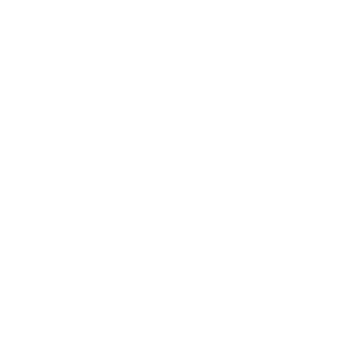 bitroy.webp