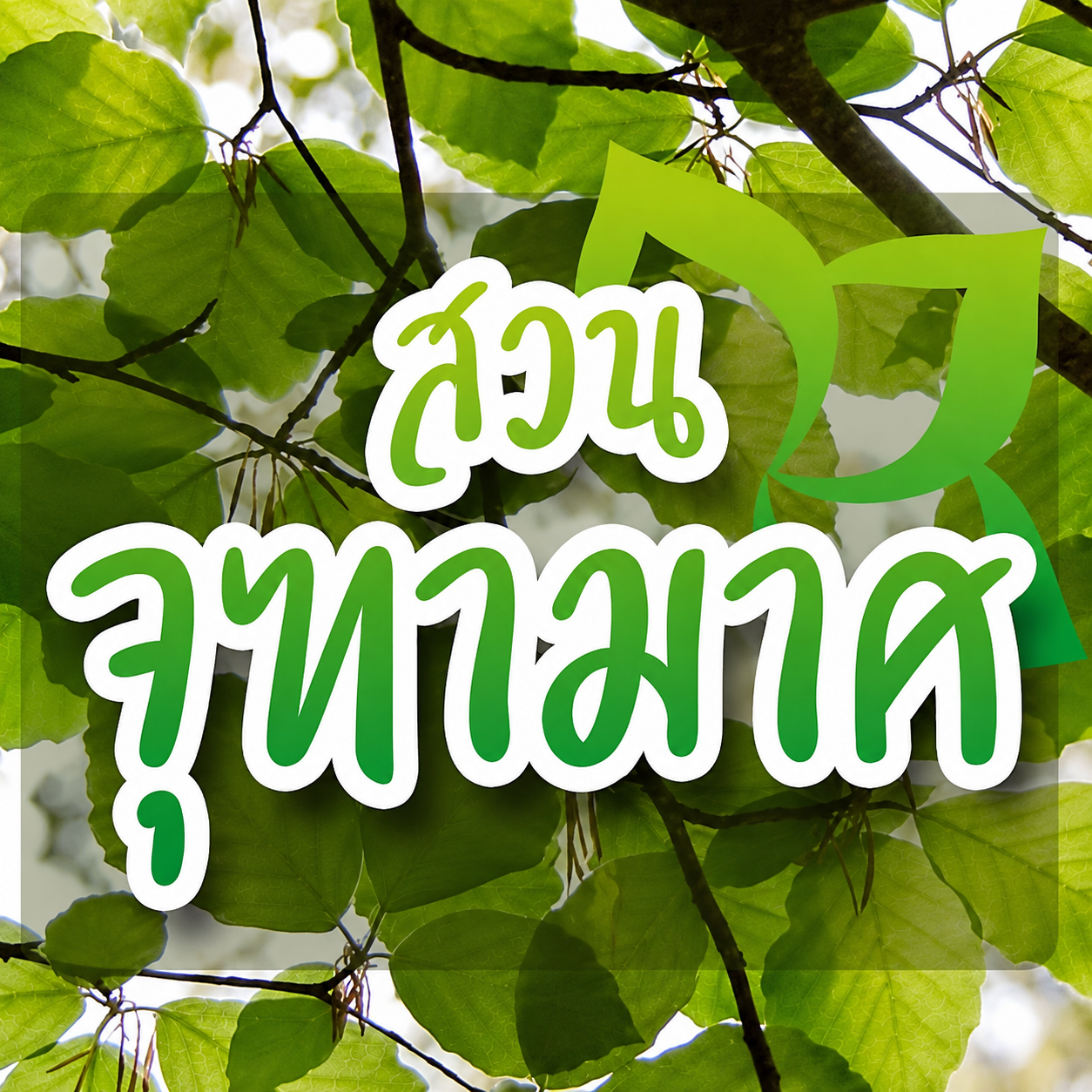 สวนจุฑามาศ