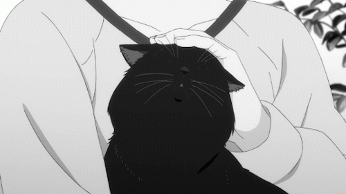 d200a468d5beead533b7986e40ec6fa548f7efa80dc91799.gif