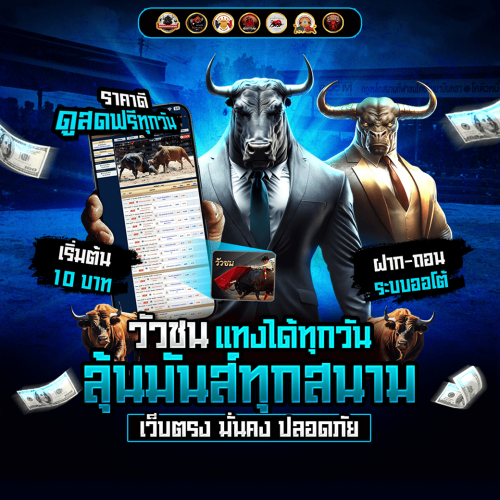 โปรแกรมวัวชน