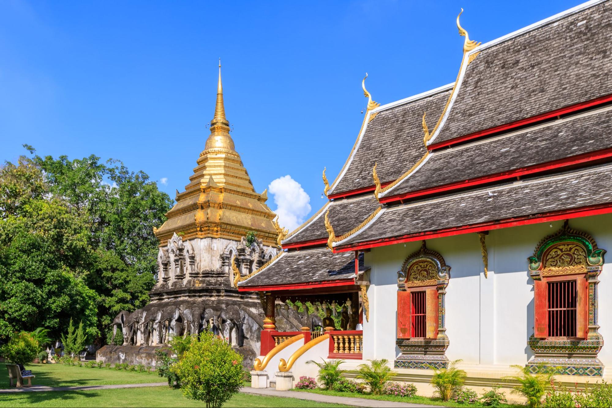 Experiential Things To Do In Chiang Mai