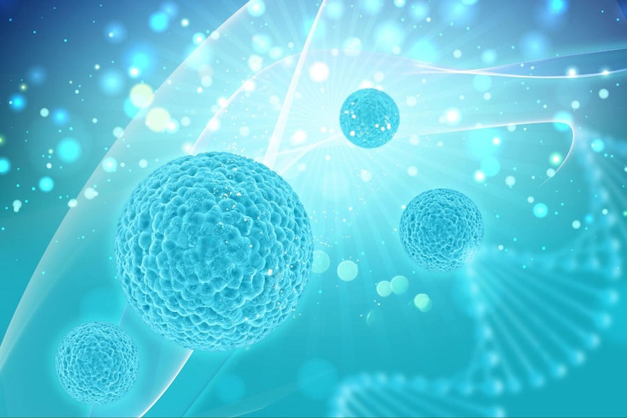 องค์ประกอบ NK Cell