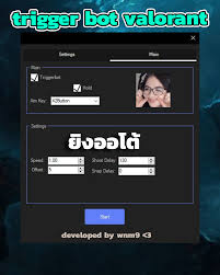 Triggerbot Valo 1วัน