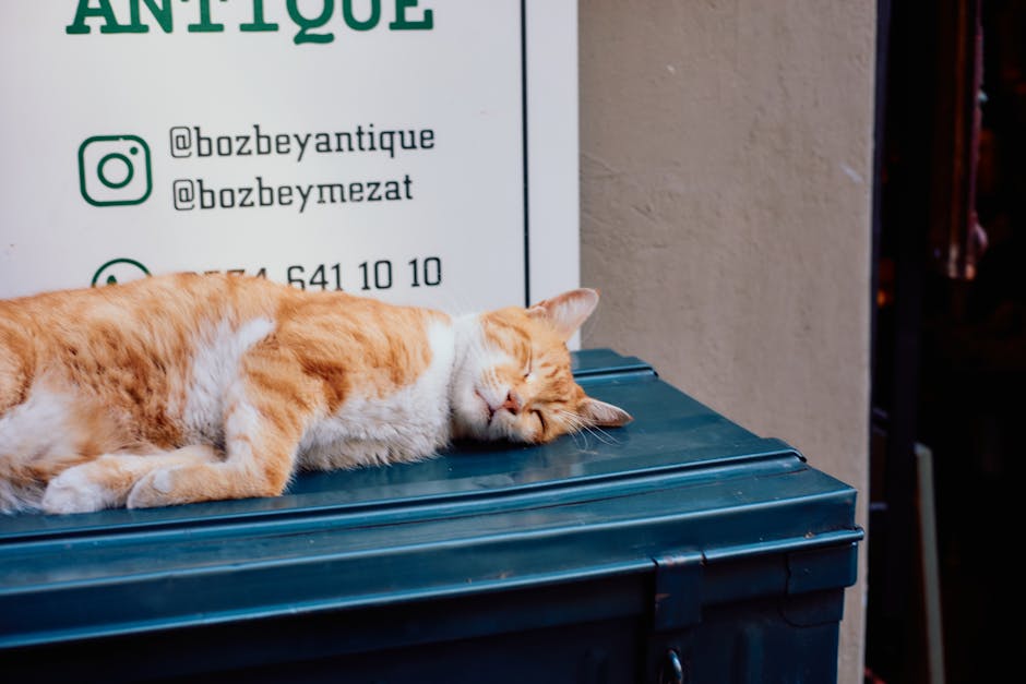 ลบภาพจำเดิมๆ ของ Social Media แบบคัดค้านสายตาคนส่วนใหญ่