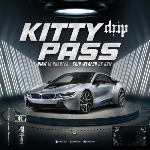 kitty_pass.png