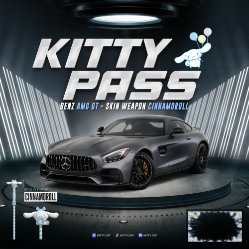 kitty_pass2.png