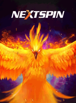 ns.gif