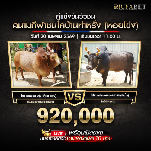 วัวชน
