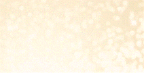 ------590-x-300-px-Small.gif