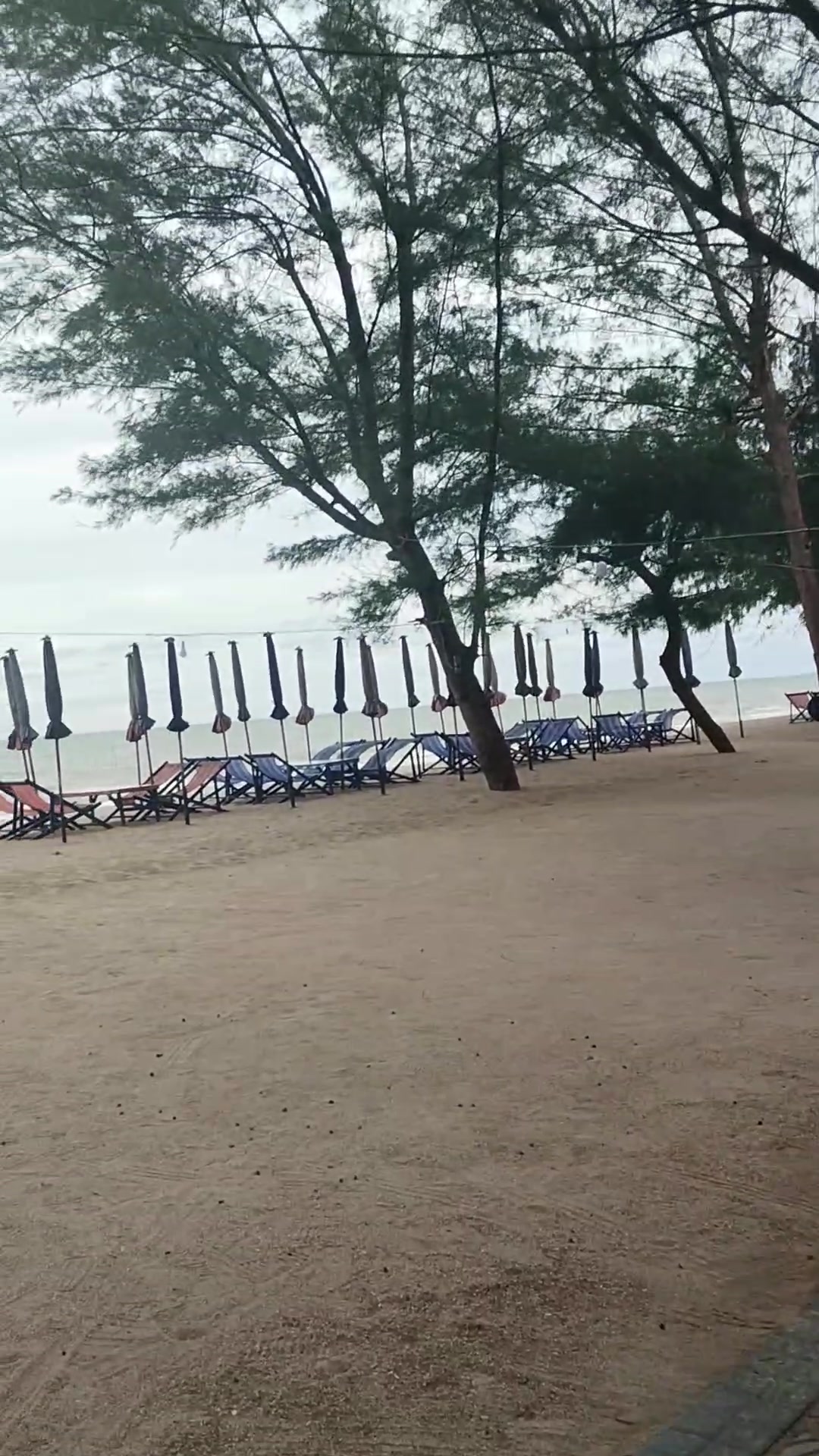 ชะอำเงียบมาก#ทะเลชะอํา #วันหยุด #เงียบ @ตี๋ @ตี๋ @ตี๋ 000044