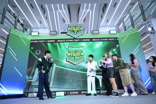 ---Breeze-Stains-Fight-x-Gemini-11.jpg