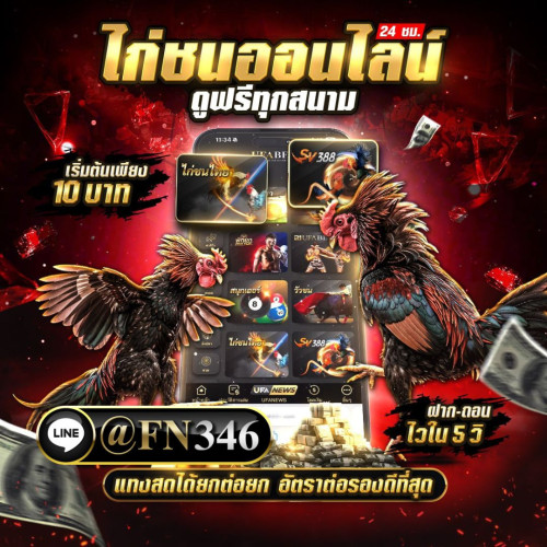 แทงไก่ชน