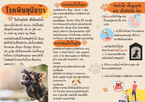 แผ่นพับ สัตว์ปลอดโรค Page 2