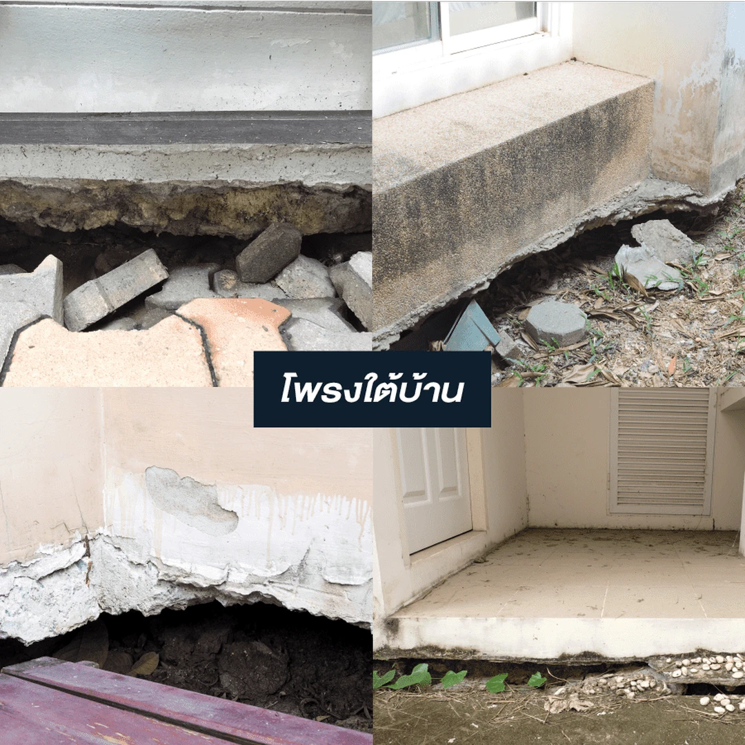 ปิดโพรงใต้บ้าน ปัญหาที่ไม่ควรมองข้าม
