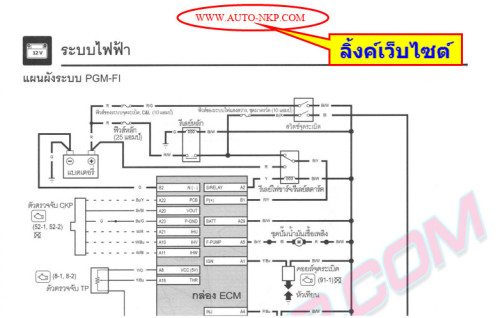 018da6d15ace6dcd1f2.jpg