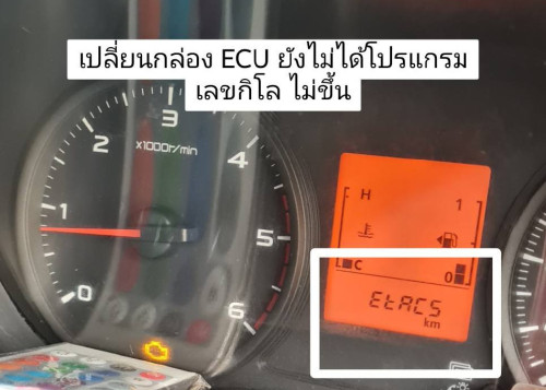 021324887aca4010966.jpg