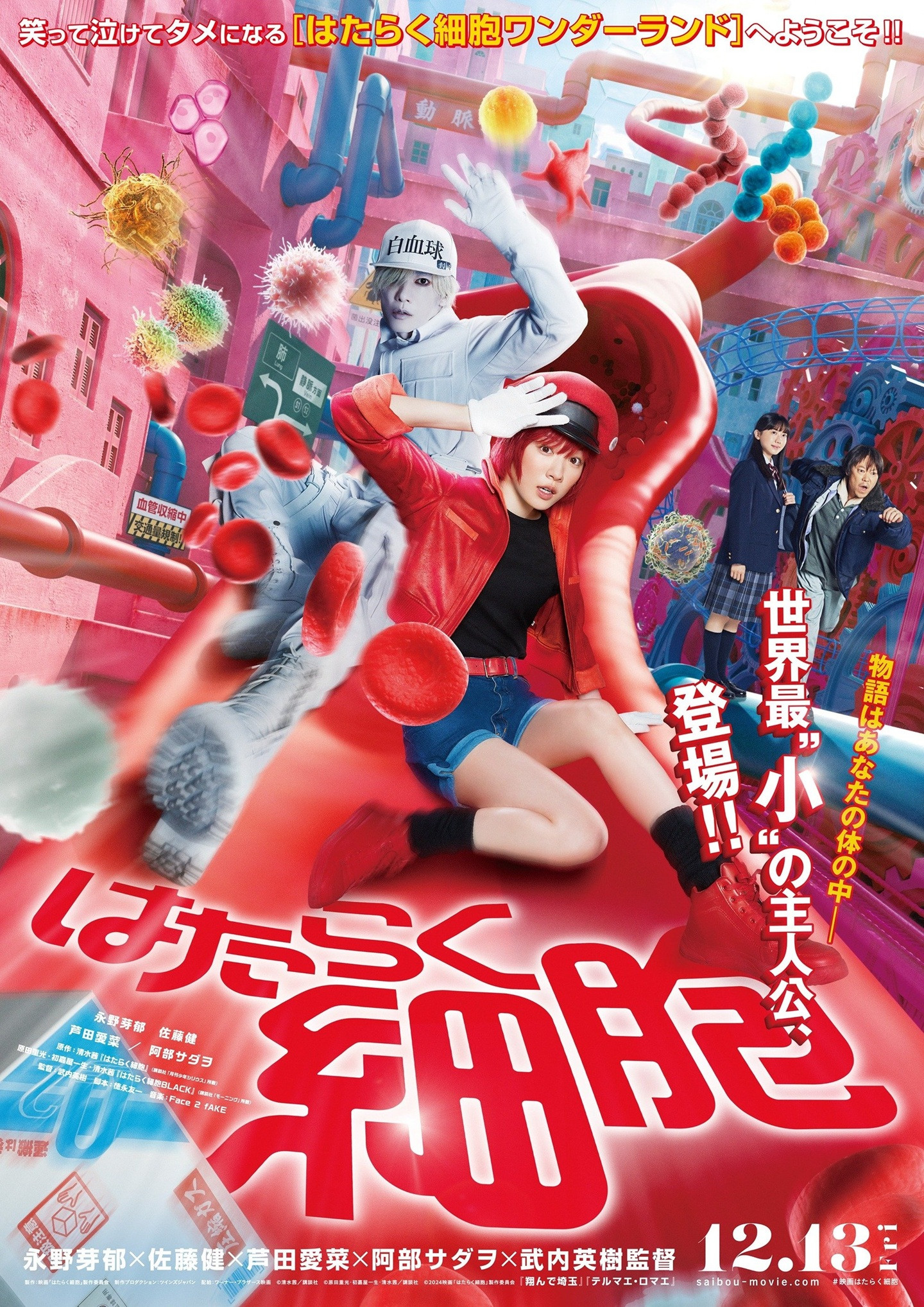 []-は た ら く 細 胞  ((Hataraku Saibō )) | Cells at Work! (2024) | ѹѹʹ-Encode.H.264.1080p. [Rip]-[ҡ ]