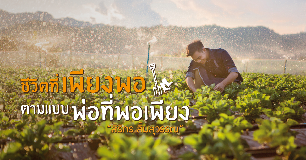 คนรุ่นใหม่แห่กลับบ้านเกิด ทำเกษตรอินทรีย์ – เปลี่ยนวิถีชีวิต พิชิตความยั่งยืน