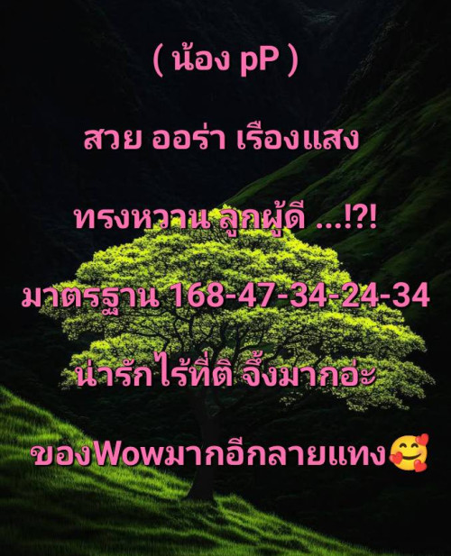 101395" border="0