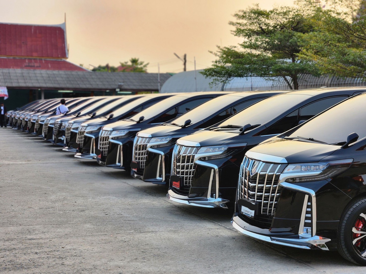 Alpard Black