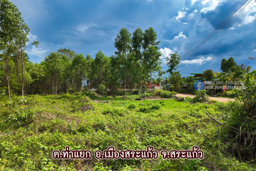 14_2292.jpg