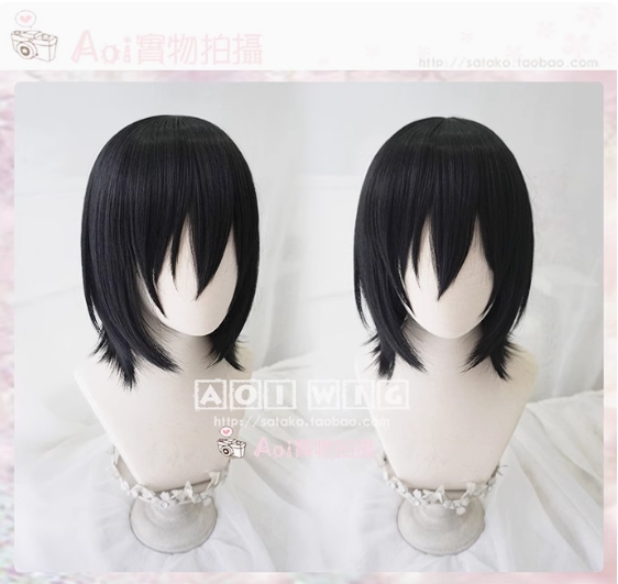 รูปภาพสินค้า 【Attack On Titan】 - วิกคอสเพลย์ มิคาสะ