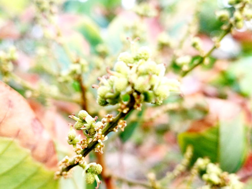 20250322_065003_resize_exposure.jpg