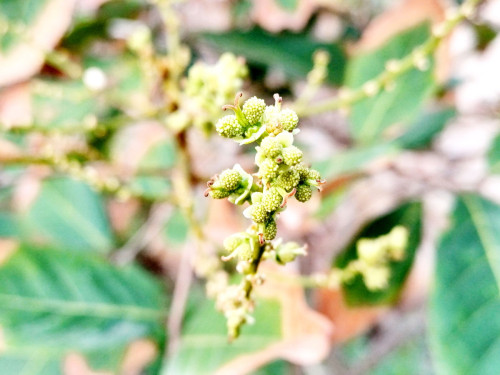20250322_065029_resize_exposure.jpg