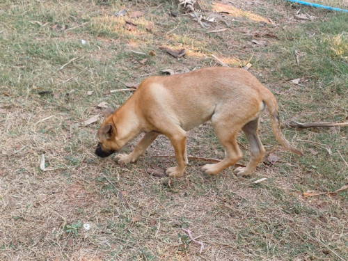 20250322_080509_resize.jpg