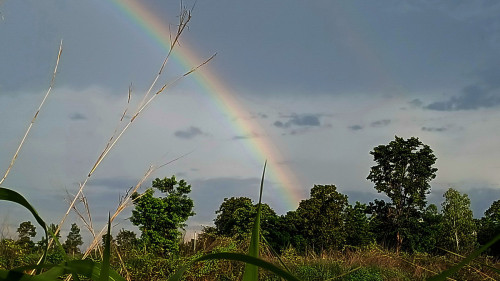 20250622_172613_resize_exposure.jpg