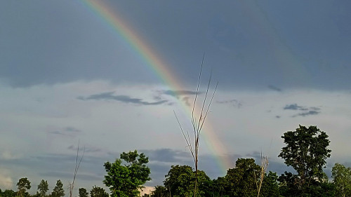 20250622_172858_resize_exposure.jpg