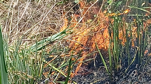 20250624_113503_resize.jpg