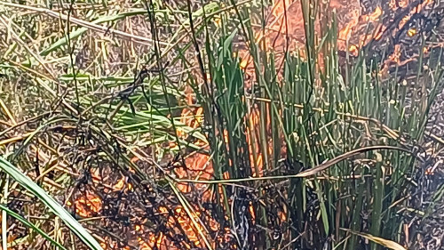 20250624_113558_resize.jpg