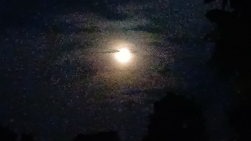 20250908_052347_resize.jpg