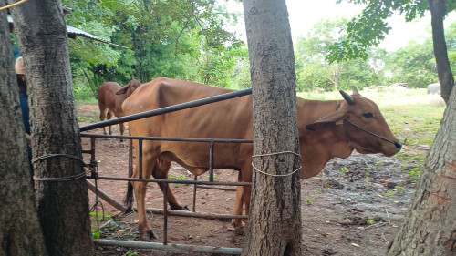 20250927 161039 resize