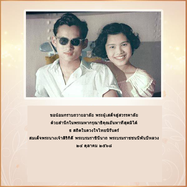 แมวน่ารัก