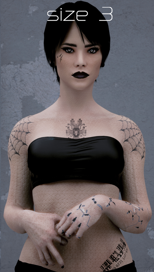 3025f6790e2818db7.png