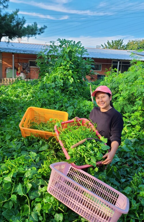 386077909 866344908179704 5005655738574984663 n