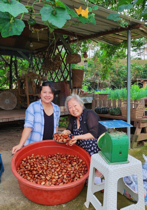 396473250 879588146855380 1053418471779115785 n