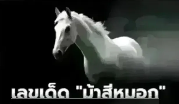 .เลขเด็ด 