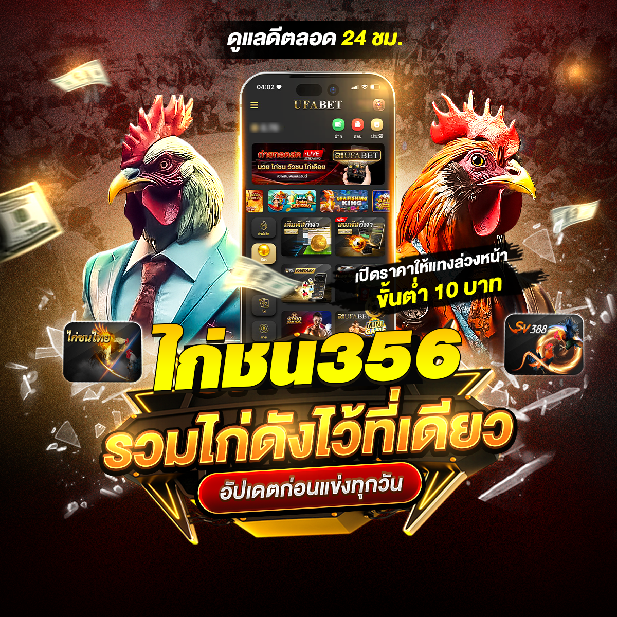 #ไก่ชน356 #kaichon356