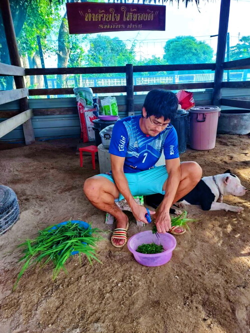 405322389 664329125884352 148999175484534726 n