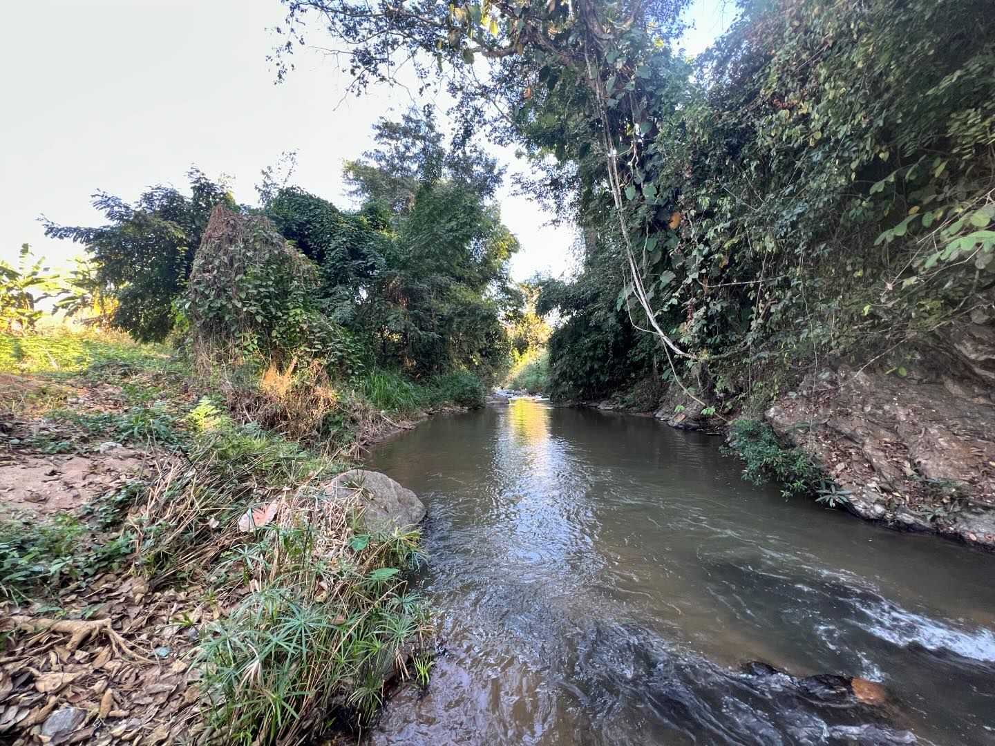 428240395 18418835827037539 2858864718629407649 n