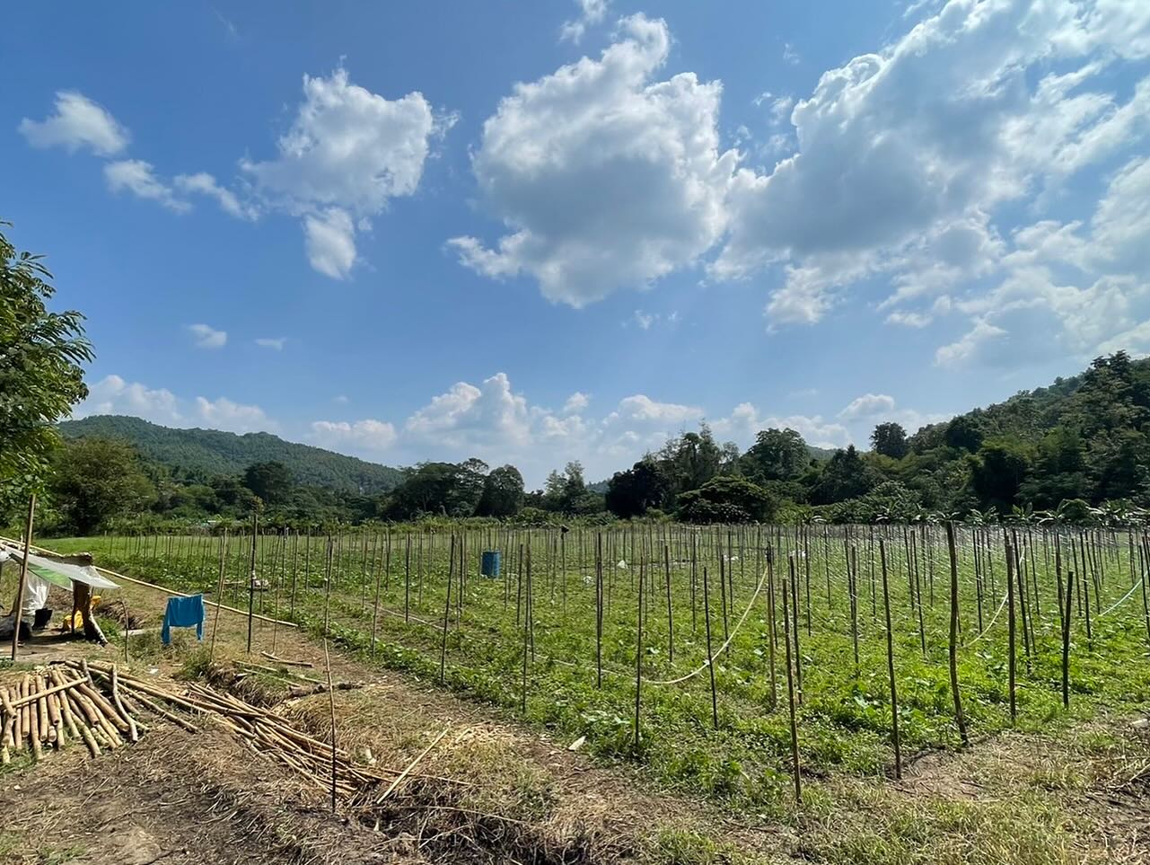 428332257 18418835914037539 2355854458157151543 n