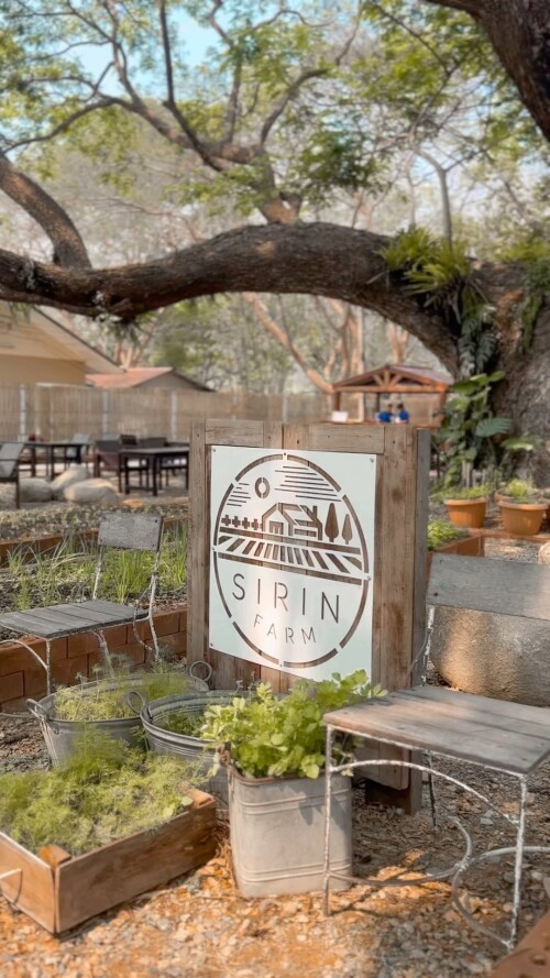 434601505 7580040852033488 9135412567300613198 n