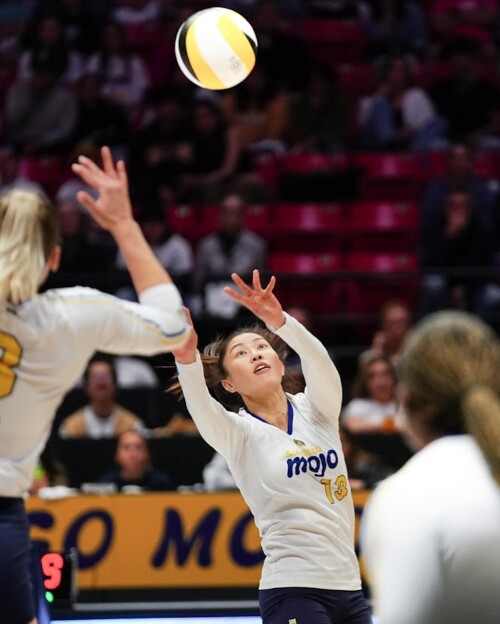 436108212 18431824192000827 3974840730052249304 n